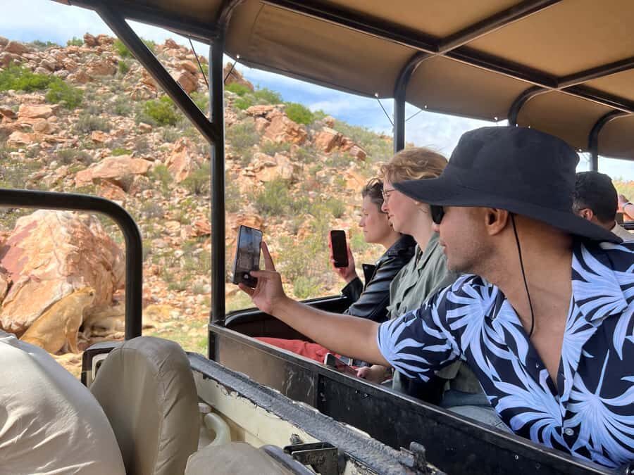 From Cape Town: Big Five Safari Experience with Lunch - Price and value: what $137 covers (and what can change)