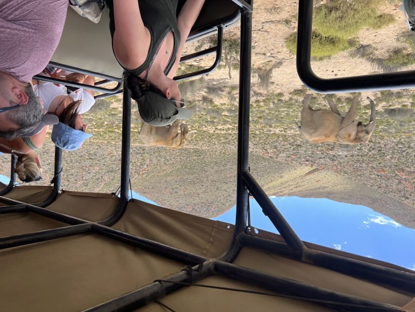 From Cape Town: Big Five Safari Experience with Lunch - What to bring (so the day feels easy)