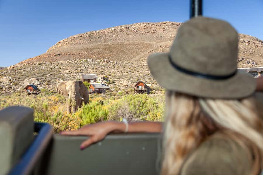 From Cape Town: Big Five Sunset Safari incl. Transportation - Cape Town to the Karoo: the smart way to do a Big Five sunset