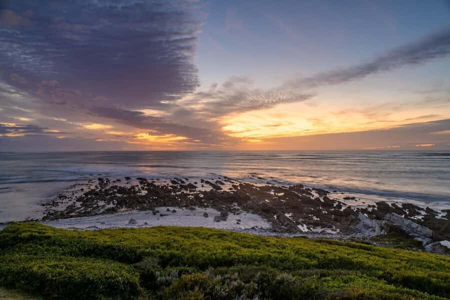 From Cape Town: Cape Agulhas, Penguins, Wine Tasting Tour - Hermanus lunch stop and seasonal whale watching