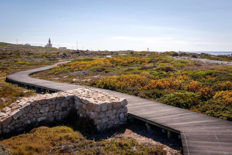 From Cape Town: Cape Agulhas, Penguins, Wine Tasting Tour - Cape Agulhas: the two-oceans walkway and lighthouse time