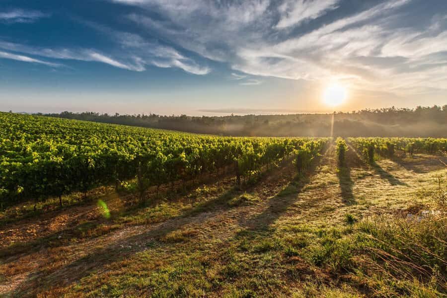 From Cape Town: Cape Winelands Full-Day Private Tour - Franschhoek Stops En Route: The Huguenot Monument Matters
