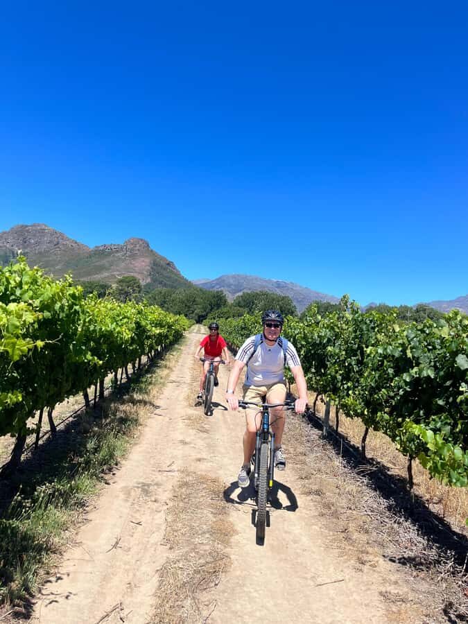 From Cape Town: Franschhoek Vineyards Bike Tour with Lunch - Pedaling Through Franschhoek’s French Huguenot Story