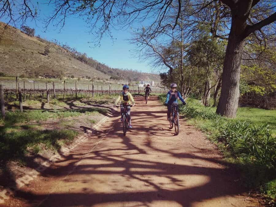 From Cape Town: Franschhoek Vineyards Bike Tour with Lunch - Getting Your Bike and Setting Off (Without Stress)
