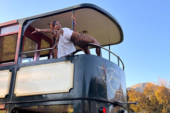 From Cape Town: Franschhoek Wine Tram Hop-on-Hop-off Tour - Key highlights worth your attention
