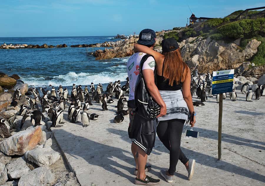 From Cape Town: Full-Day Cape Agulhas Private Tour - Cape Town to Cape Agulhas: what this 10-hour day really feels like