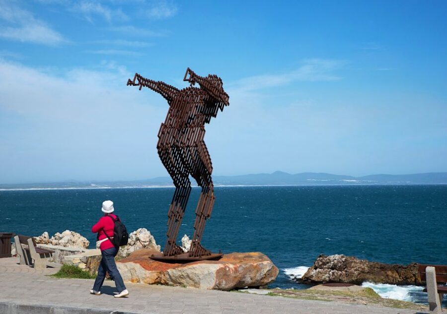 From Cape Town: Full-Day Cape Agulhas Private Tour - Hermanus and Hemel-en-Aarde: wine, lunch choices, and whale-season odds