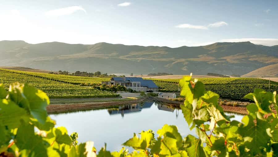 From Cape Town: Full-Day Cape Agulhas Private Tour - Who this tour suits best (and who might not love it)
