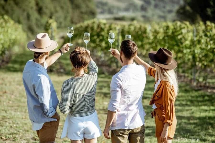 From Cape Town: Full-Day Cape Winelands Taste Tour + Tram - Key things to know before you go