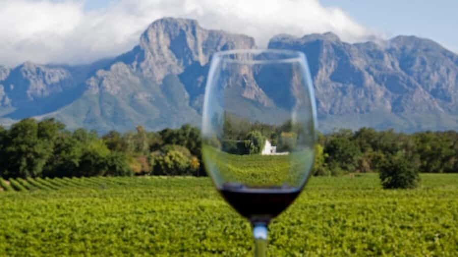 From Cape Town: Full-Day Cape Winelands Taste Tour + Tram - Guides make the difference: Liezel, Uriel, Dion (and the small-group feel)