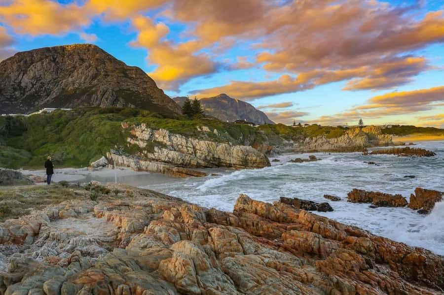 From Cape Town: Full-Day Hermanus Whale Watching Tour - Optional Boat Trip in Hermanus: The Closer Look You Pay For