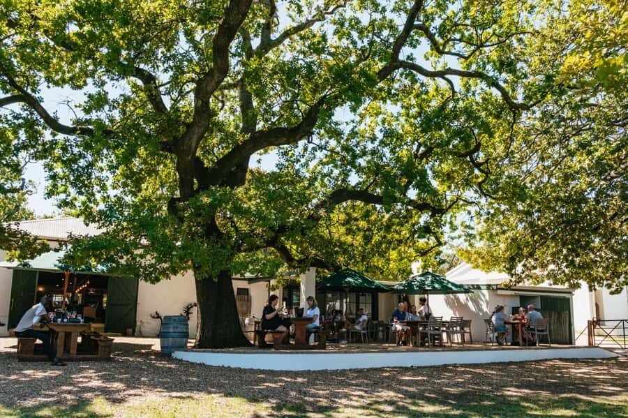 From Cape Town: Full Day Winelands Tour with wine tastings - Key highlights that make this day worth it