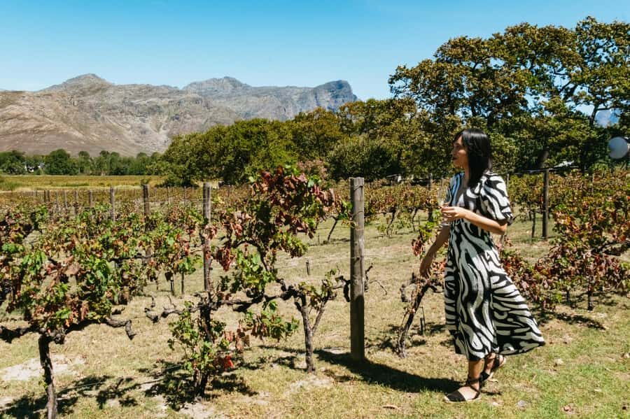 From Cape Town: Full Day Winelands Tour with wine tastings - Paarl: the view from above and a tasting stop that sets the tone