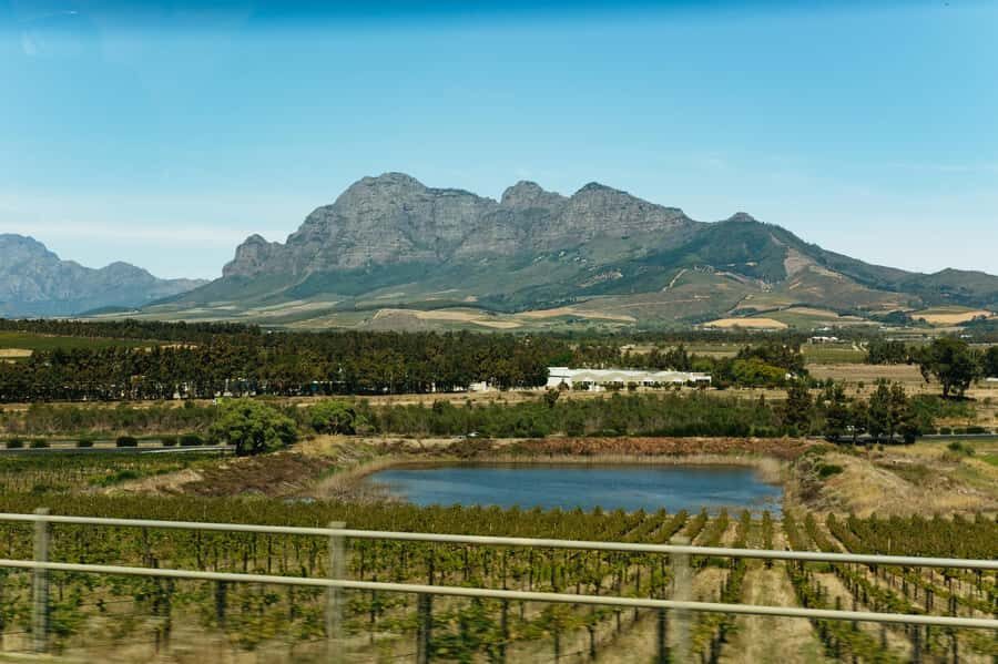 From Cape Town: Full Day Winelands Tour with wine tastings - Price and value: what $120 buys you in real travel terms
