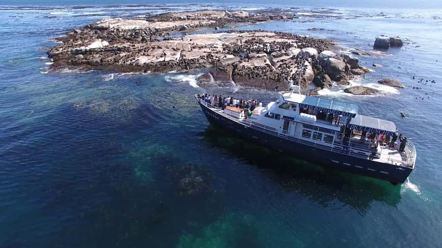 From Cape Town: Glass-Bottom Boat Seal Watching Tour - Duiker Island: where the fur seals do their thing