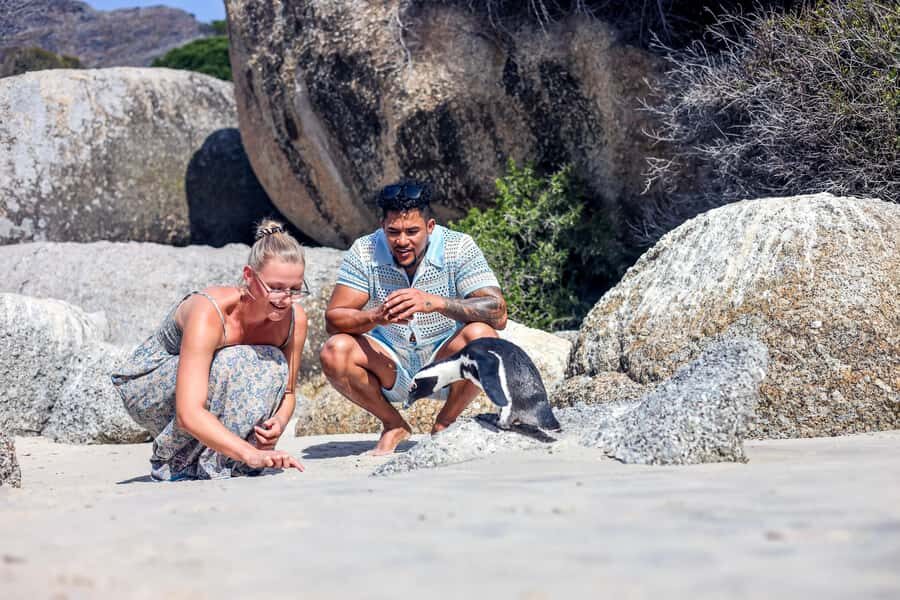 From Cape Town: Half-Day Boulders Beach and Penguins Tour - The route that makes a half-day feel like a full one