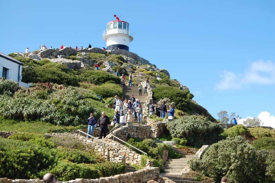 From Cape Town: Half Day Cape Point & Penguins Tour - A half-day that hits Cape Point and penguins without the full-day drag