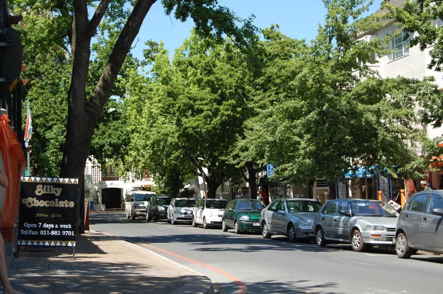 From Cape Town: Half Day Winelands Tour with winetasting - Guide quality matters: what you can expect in real life