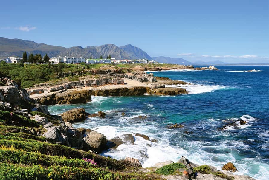 From Cape Town: Hermanus Whale Watching Full Day Tour - Hermanus time: 2 hours in town for walking, views, and whales from shore
