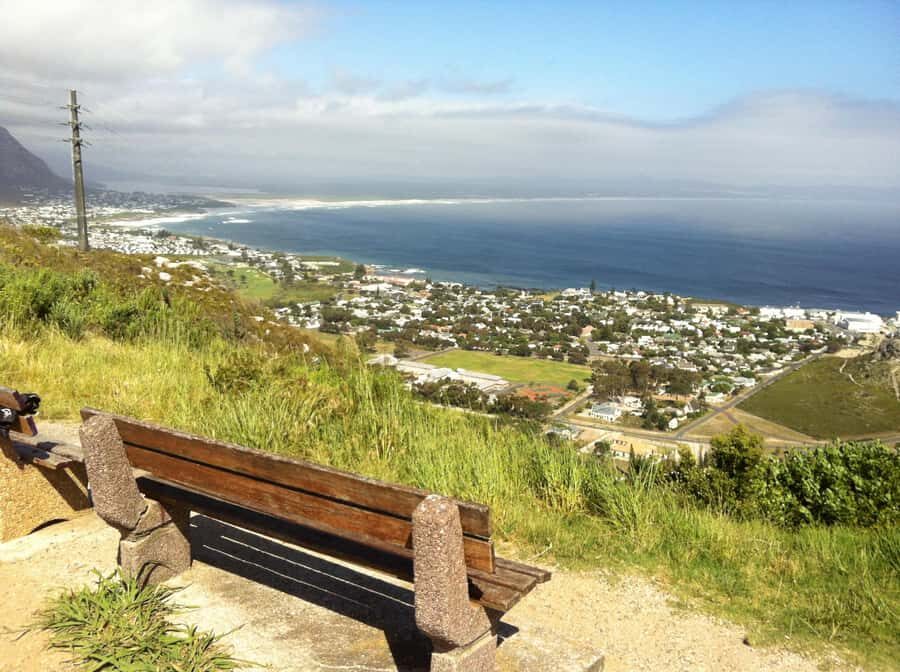From Cape Town: Hermanus Whale Watching Full Day Tour - Wine stop: urban Hemel-en-Aarde tasting without the winery-day overwhelm