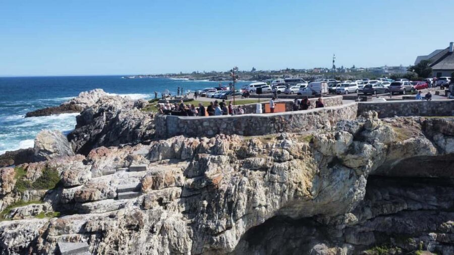 From Cape Town: Hermanus Whale Watching Tour with Boat Trip - The boat trip: 2 to 3 hours for Southern Right and Humpbacks