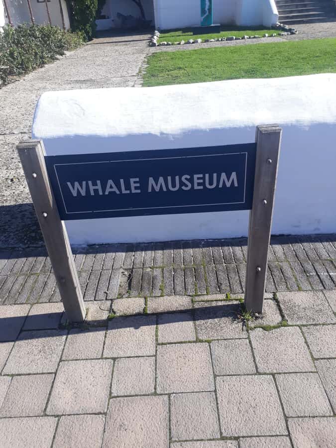 From Cape Town: Hermanus Whale Watching Tour with Transfer - The Cape Town to Hermanus transfer: more than just getting there