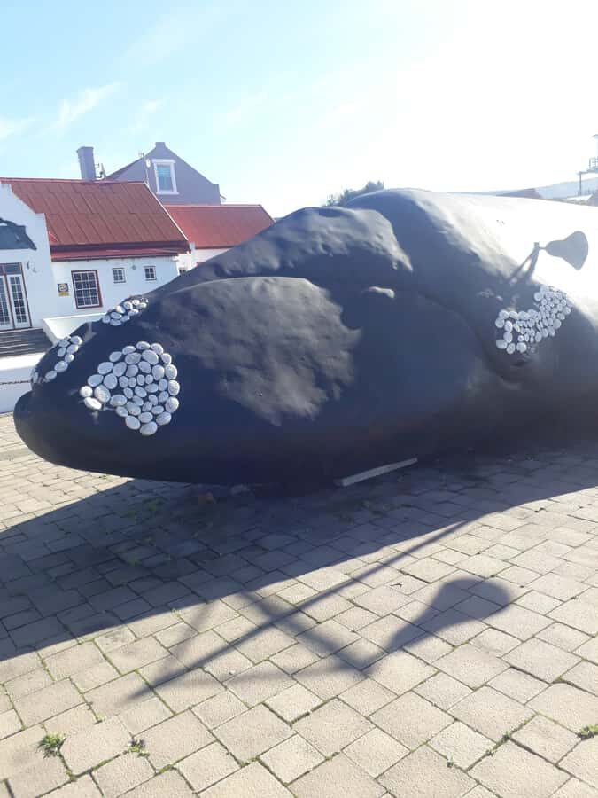 From Cape Town: Hermanus Whale Watching Tour with Transfer - The boat ride (2–3 hours): comfort, cold, and visibility reality