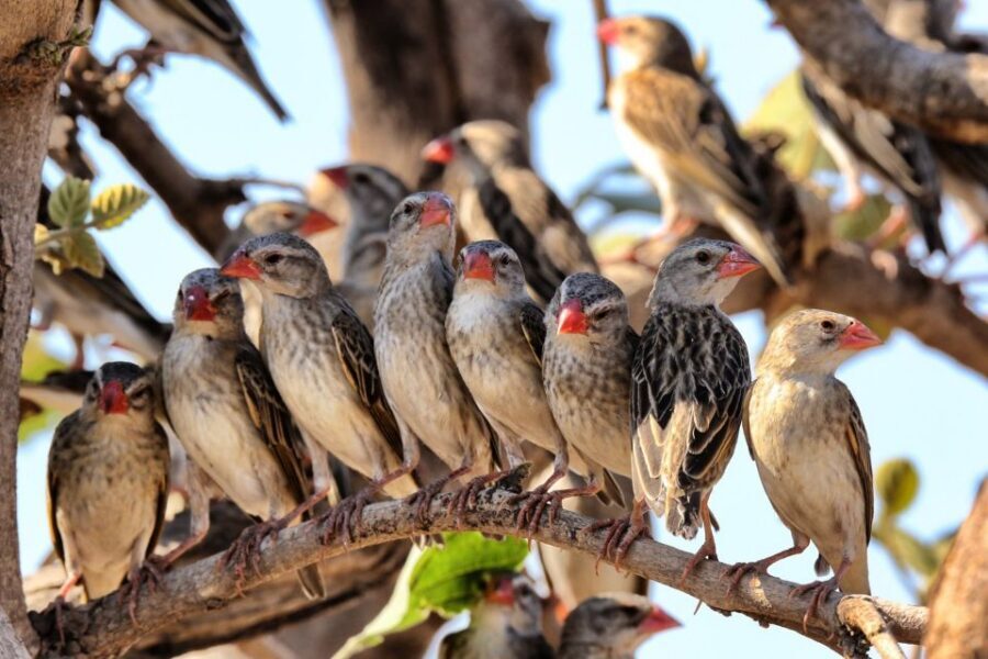 From Cape Town: Kruger National Park 2-Day Safari Trip - From Cape Town to Kruger: how the timing really works