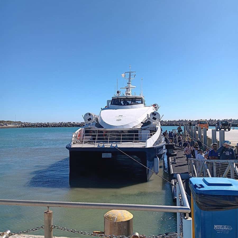 From Cape Town: Robben Island & Table Mountain Full-Day Tour - Hotel pickup, private transportation, and the guide/driver role