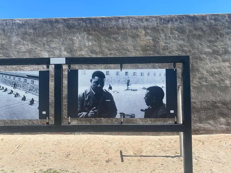 From Cape Town: Robben Island & Table Mountain Full-Day Tour - Price and value: what $93 buys you (and what costs extra)