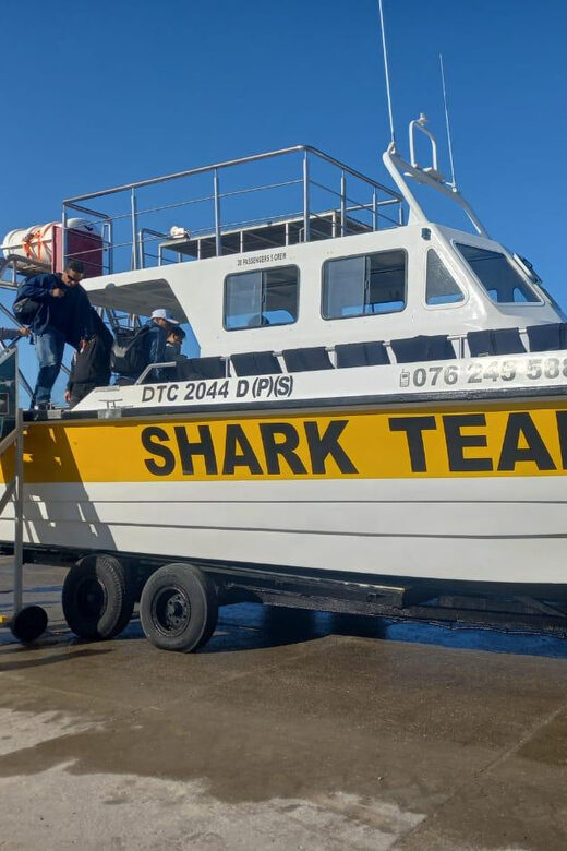 From Cape Town: Shark Cage Diving and Penguin Tour - Who this tour is best for (and who should skip it)