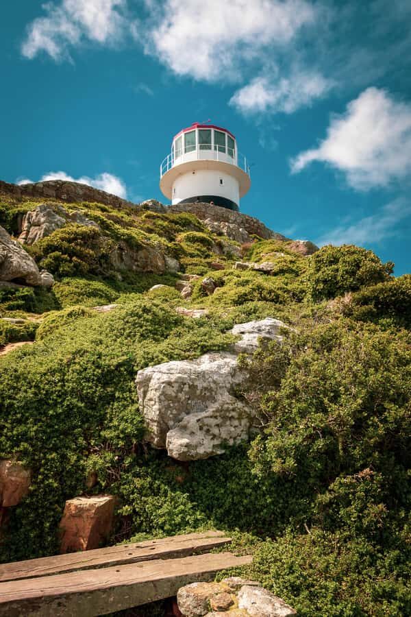 From Cape Town: Table Mountain and Cape of Good Hope Tour - Cape of Good Hope and the New Cape Point Lighthouse