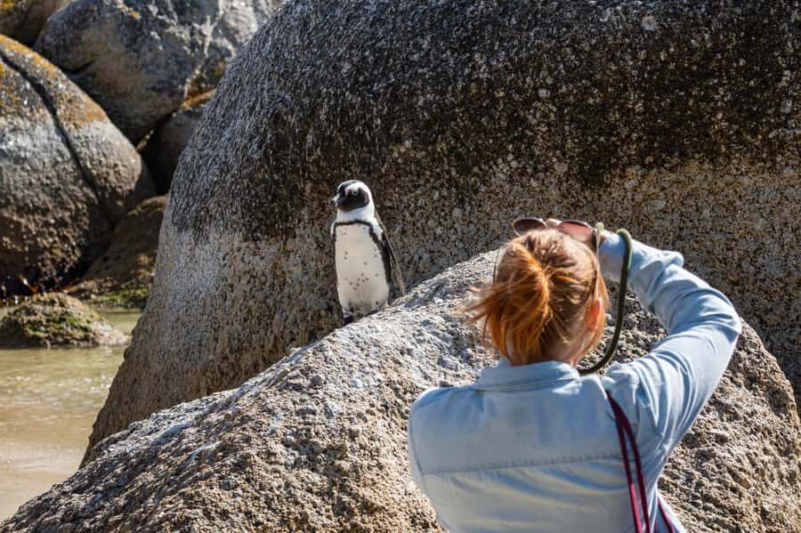 From CapeTown:Full Day Tour to Cape of Good Hope&Cape Point - Cape Point and Cape of Good Hope: Lighthouse Area and the Big-Southwest Feeling