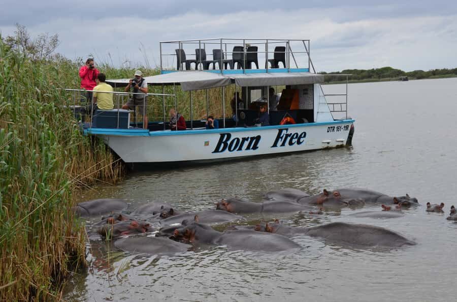 From Durban: St. Lucia Wetlands Boat Ride - St Lucia Estuary Cruise: What the 2 Hours Feels Like