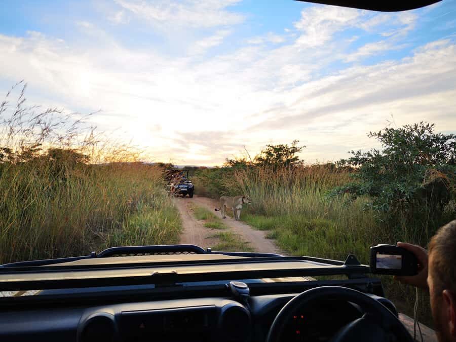 From Durban: Wildlife Lovers Big 5 Safari at 2 Game Reserves - Two Reserves Means Better Odds Than One