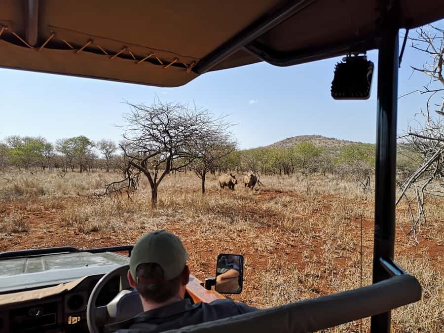 From Durban: Wildlife Lovers Big 5 Safari at 2 Game Reserves - Big Five Searching: Lions, Cheetah, Rhino, Elephant, and the In-Between