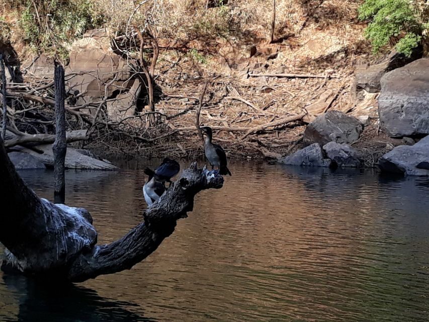 From Hazyview: Blyde River Canyon Highlight & Boat Cruise - Bourke’s Luck Potholes and Bernard Thomas Bourke’s Gold-Era Twist