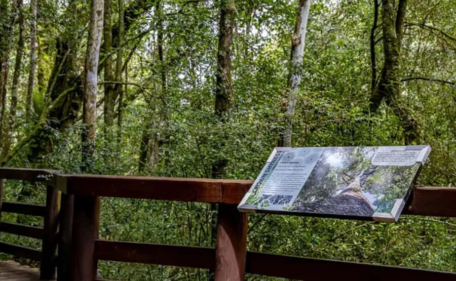 From Hazyview: Full-Day Guided Panorama Tour - Hazyview Panorama Tour: what kind of day this really is