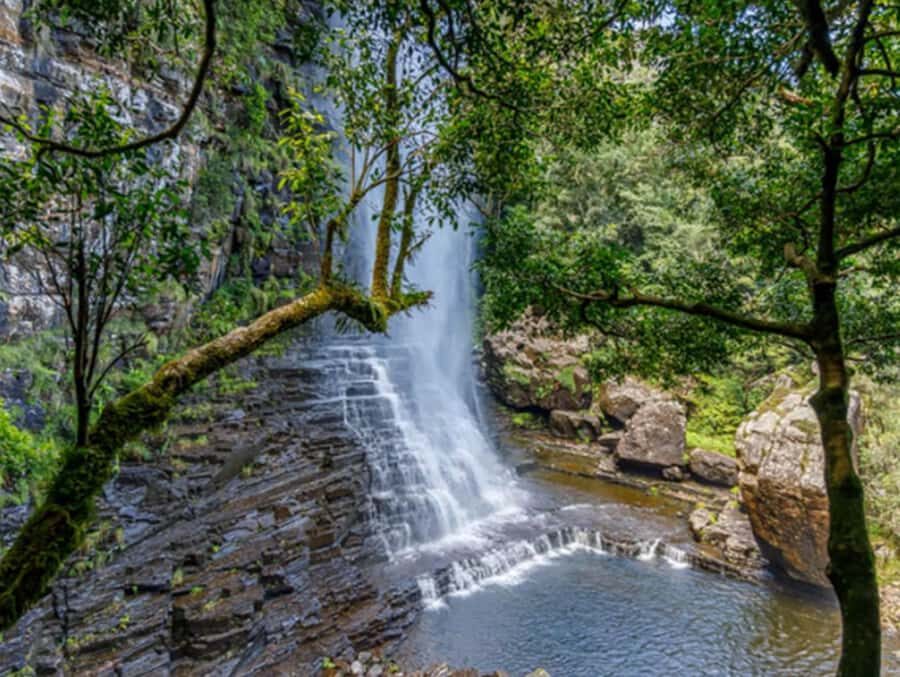 From Hazyview: Full-Day Guided Panorama Tour - Lisbon Falls and Berlin Falls: quick waterfall breaks with walking time