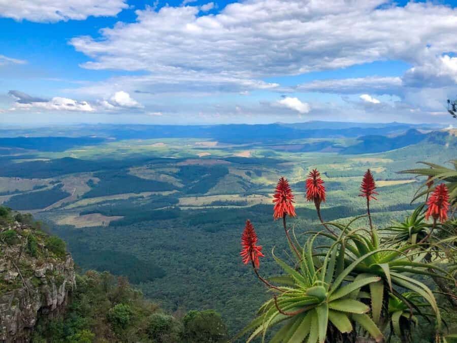 From Hazyview: Full-Day Guided Panorama Tour - Price and value: what $149 includes, and what you may pay extra for