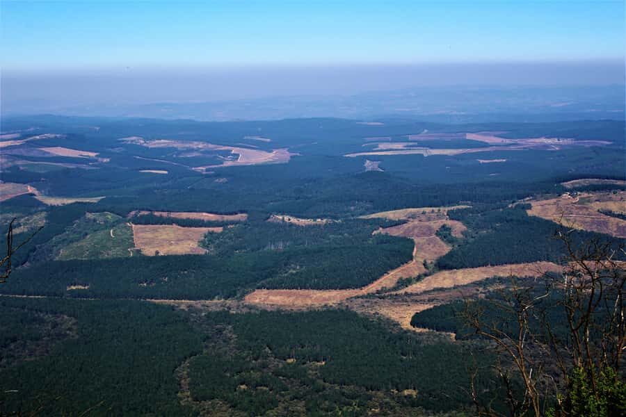 From Hazyview: Panorama Tour Highlights - Timing, weather, and walking: how to plan your day like a local