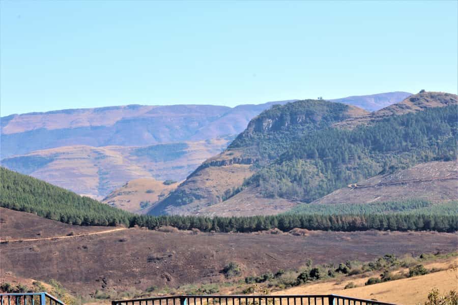 From Hazyview: Panorama Tour Highlights - Should you book this 4-hour Panorama highlights tour?