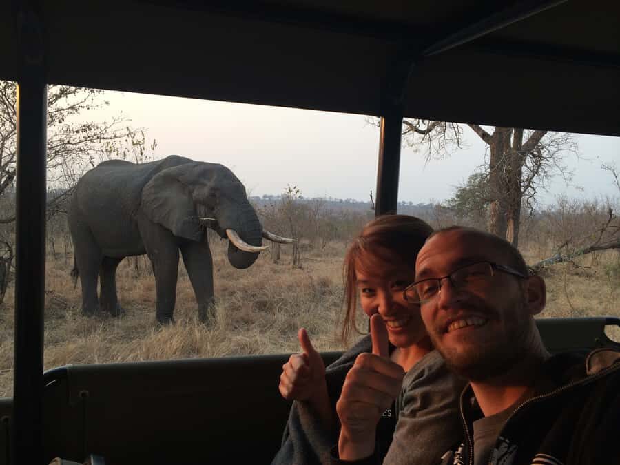 From Hazyview: Private Afternoon Game Drive - The Real Luxury: Staying Put at Sightings