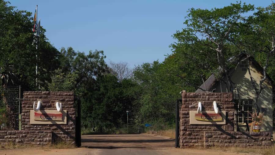 From Johannesburg: 2-Day Safari into Kruger National Park - The best parts and the potential weak spots
