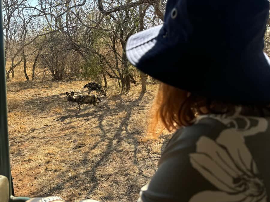 From Johannesburg: Cheetah Tour - Getting There From Joburg or Pretoria: Plan for Travel Time