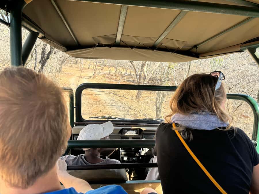 From Johannesburg: Cheetah Tour - Who This Tour Fits Best (and Who Should Rethink)