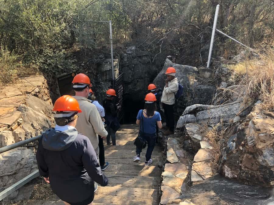 From Johannesburg: Cradle of Humankind and Lion Safari - Sterkfontein Caves: A 1-Hour Underground Walk (and the Museum Backup)