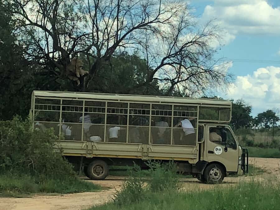 From Johannesburg: Cradle of Humankind and Lion Safari - Maropeng Visitor Centre: Interactive Exhibits That Put the Story Together