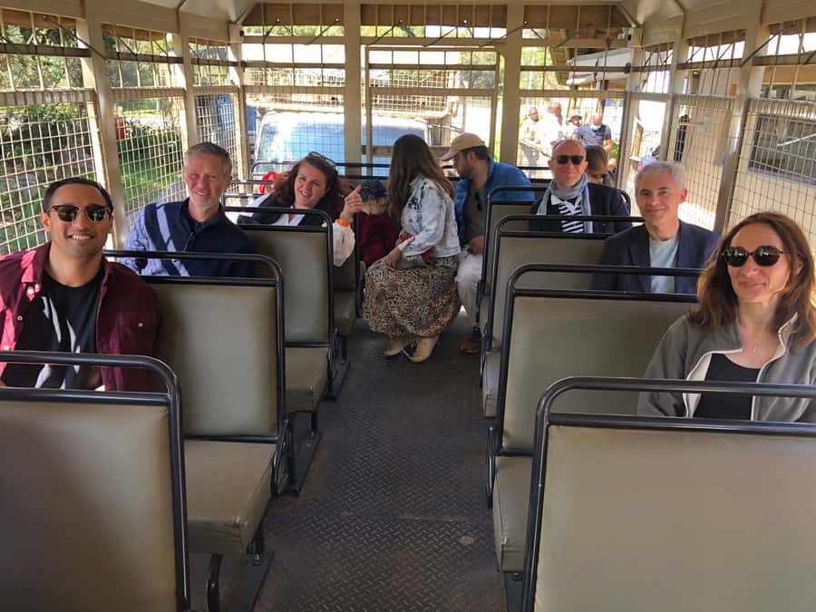 From Johannesburg: Cradle of Humankind and Lion Safari - The 5 Dome Shopping Stop: A Useful Reset in the Middle of the Day