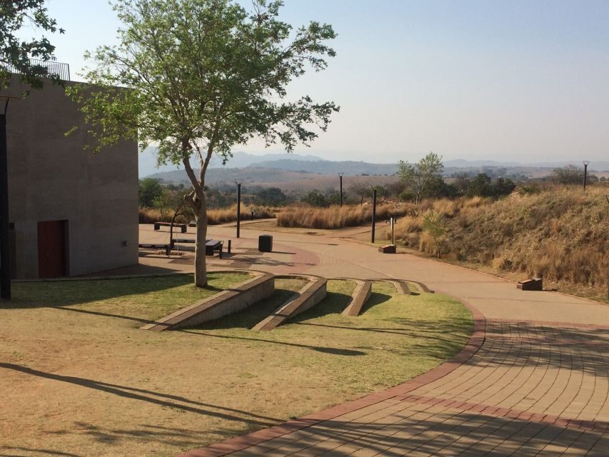 From Johannesburg: Cradle of Humankind and Lion Safari - Why the Guide Really Matters on This Route